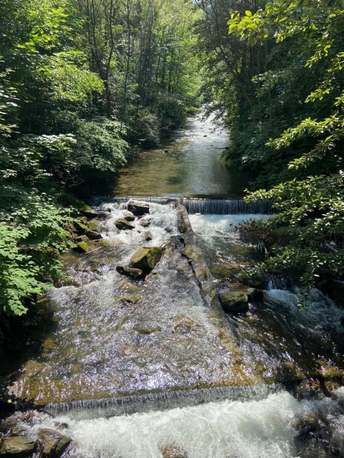Green Apart Mountain Szczyrk Bratkow 10E ภายนอก รูปภาพ